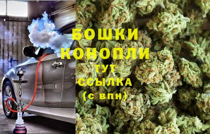 Бошки марихуана Bruce Banner  Данилов 